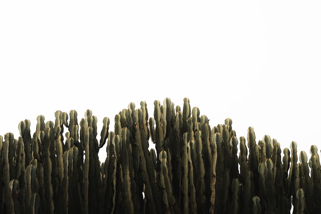 以更优标准助力产业提质——市场监管总局详解先进制造领域标准体系建设成效